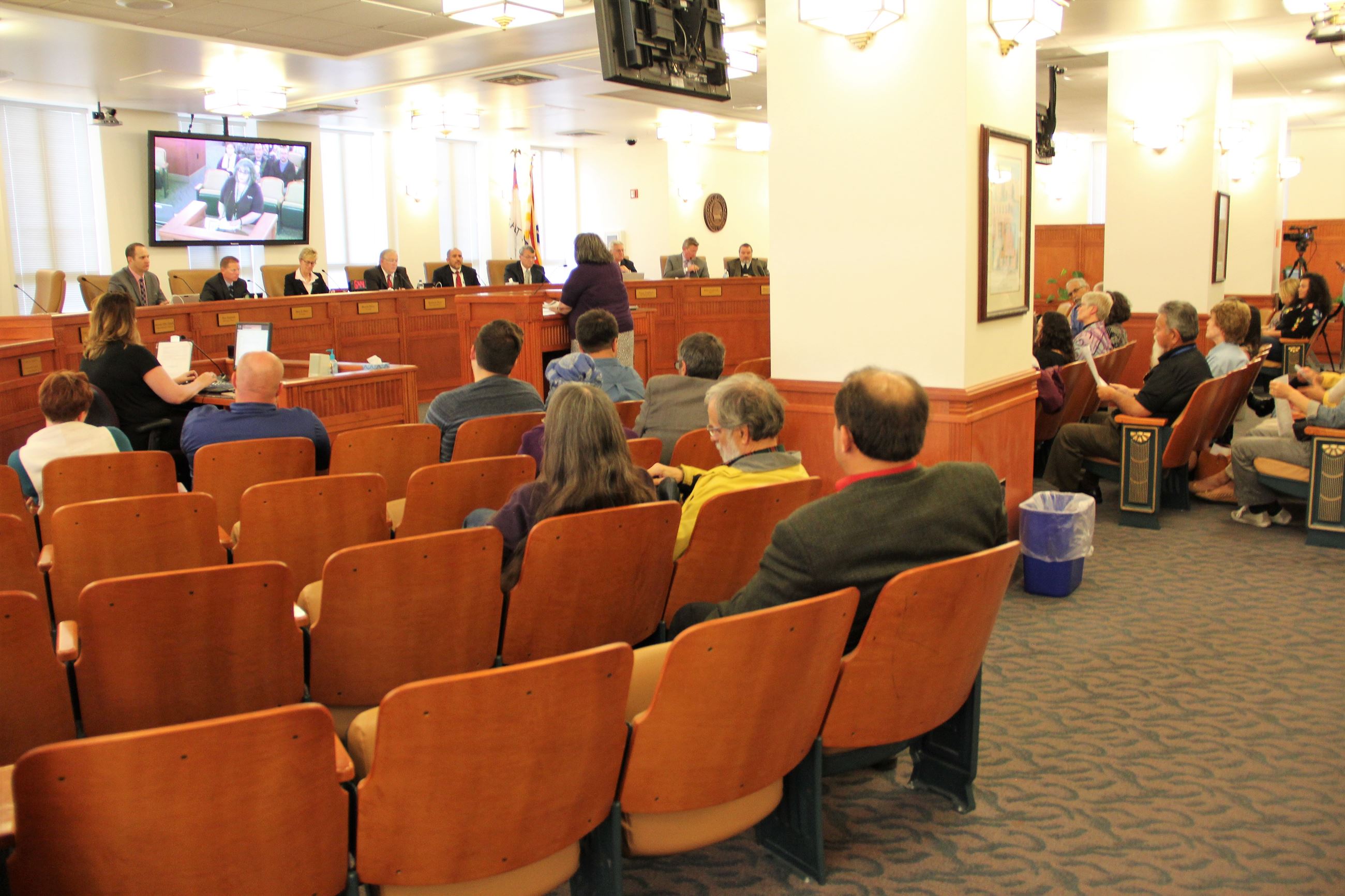 Council Executive Director Janene Eller-Smith presents on the FY2018 Financial Principles during a C